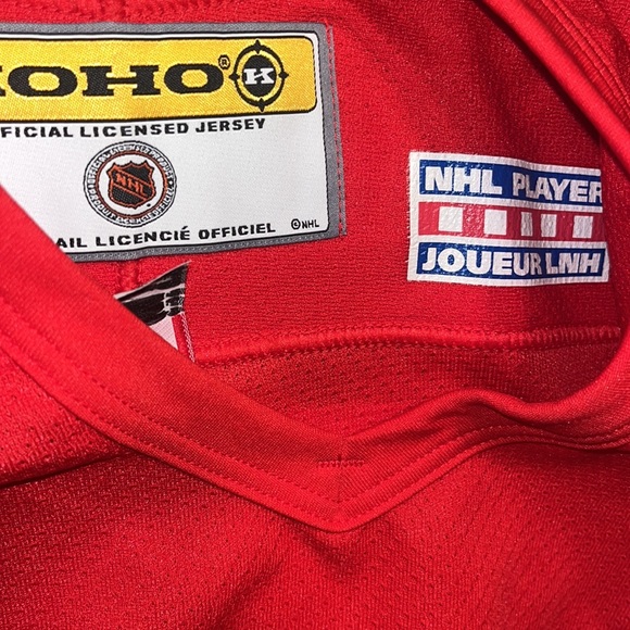 Brett Hull Detroit Red Wings Koho Jersey - Picture 6 of 6